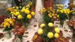 25 let Hlinecké chryzantémy