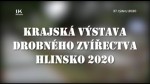 37/2020 Kaleidoskop: Krajská výstava drobného zvířectva, Hlinsko 2020