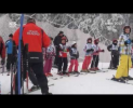 Přebor škol ve sjezdovém lyžování
