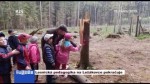 Lesnická pedagogika na Ležákovce pokračuje