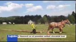 V Hamrech se už posedmé setkali chovatelé koní