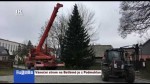 48/2019 Vánoční strom na Betlémě je z Podmoklan
