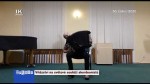 50/2020 Vítězství na světové soutěži akordeonistů